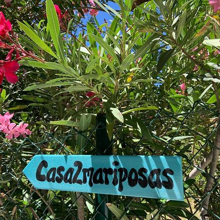 Вилла Casa 2Mariposas Михас Экстерьер фото
